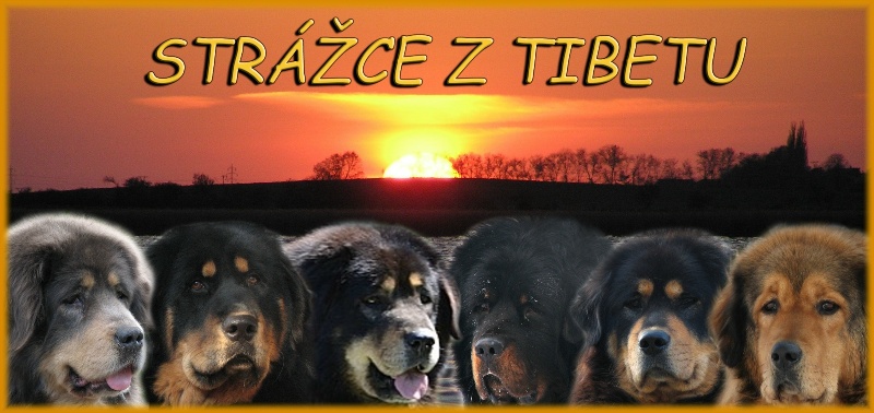 banner Strážce z Tibetu