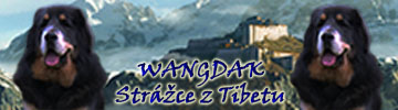 banner_Wangdak_StrazcezTibetu