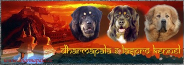 banner_Dharmapala