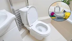 Rozlučte se s nepříjemnými pachy z kanalizace a vodovodního potrubí v toaletě: ideální řešení pro bezchybnou koupelnu.