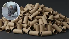 Jak se zbavit myší ve vaší domácnosti pomocí držáku na toaletní kartáč: účinná domácí past